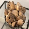 Buy Dried Austrian Poppy Pods Online