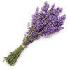 Buy Lavender Bath Products