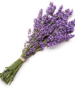 Buy Lavender Bath Products