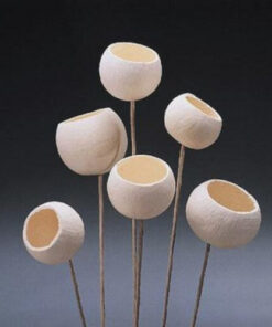 Charm of Poppy Pods