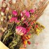 Buy Dried Floral Heads Online