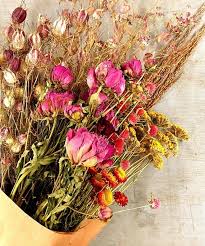 Buy Dried Floral Heads Online