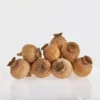 Buy Dried Poppy Pod Heads