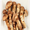 Buy Bhutanese Mushroom Online