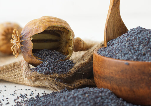 About Us: Buy Poppy Pods